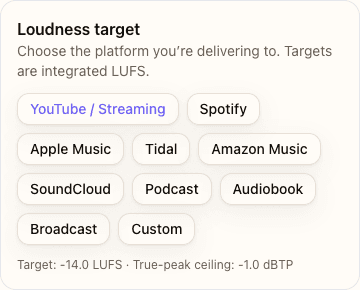 Preset selector highlighting the -14 LUFS streaming option