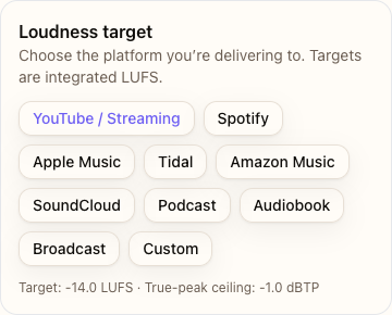Preset selector highlighting the -14 LUFS streaming option